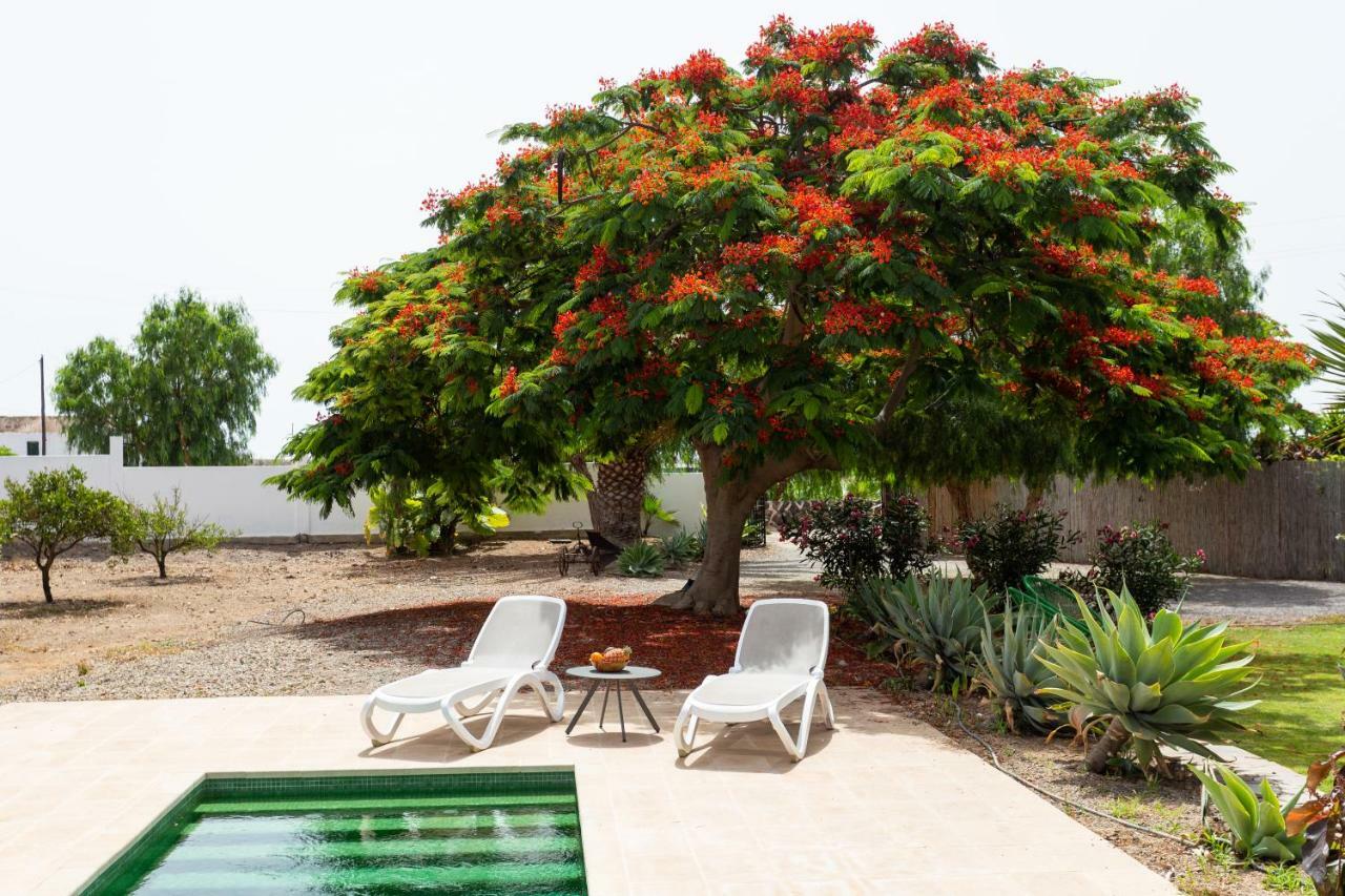 Caserio De Guaza Palm-mar Ngoại thất bức ảnh